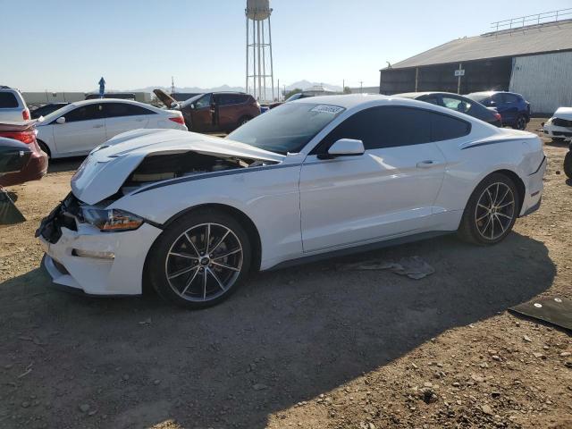Ford All models (2019)
