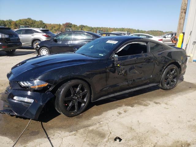 Ford All models (2019)