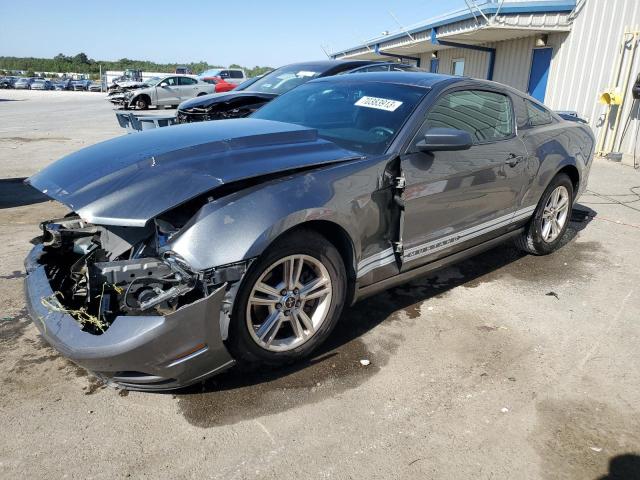 Ford All models (2013)