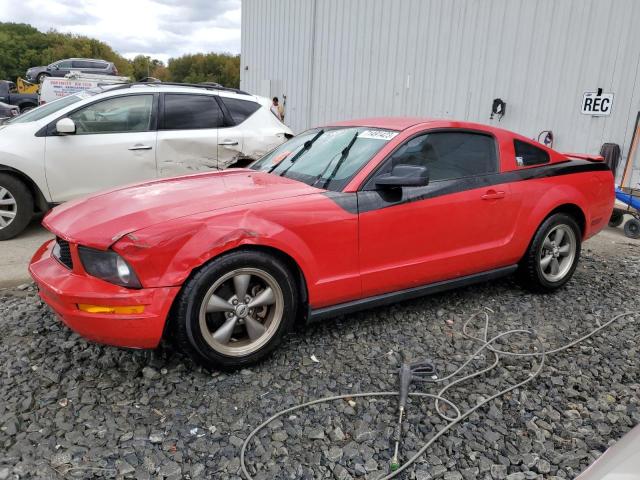 Ford All models (2007)