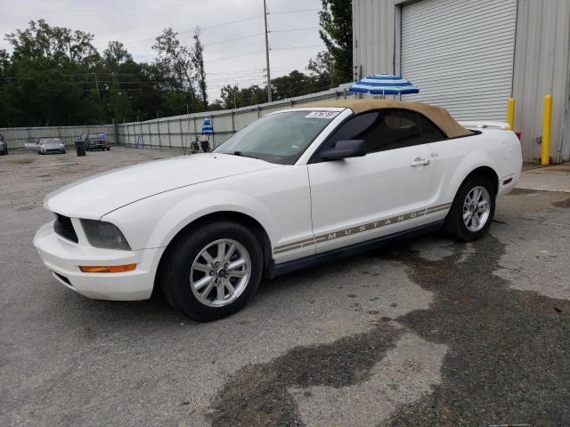 Ford All models (2005)