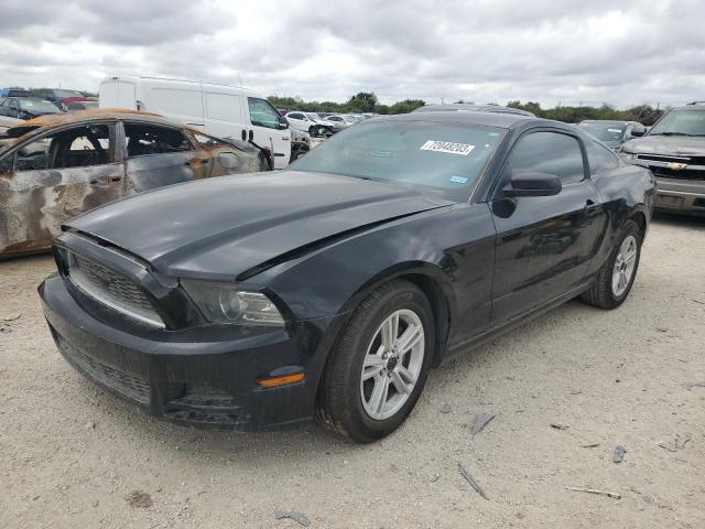 Ford All models (2013)