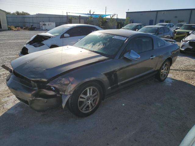 Ford All models (2005)