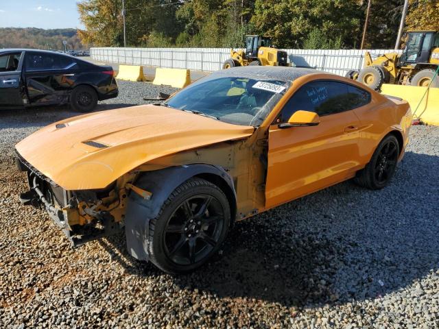 Ford All models (2019)