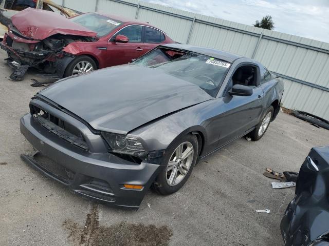 Ford All models (2013)