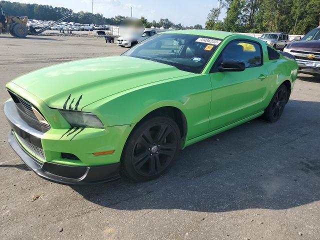 Ford All models (2013)