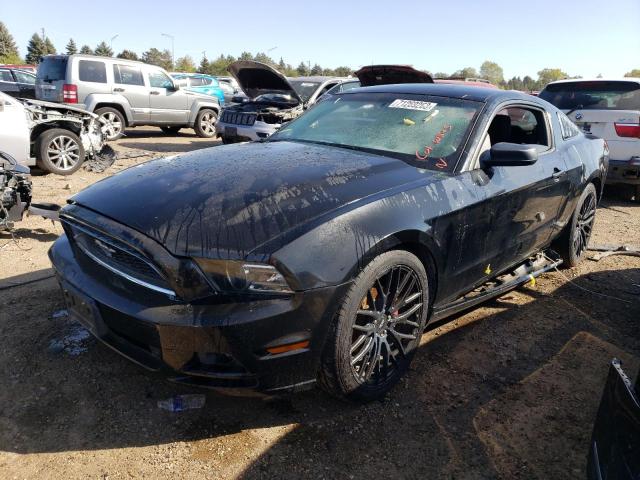 Ford All models (2013)