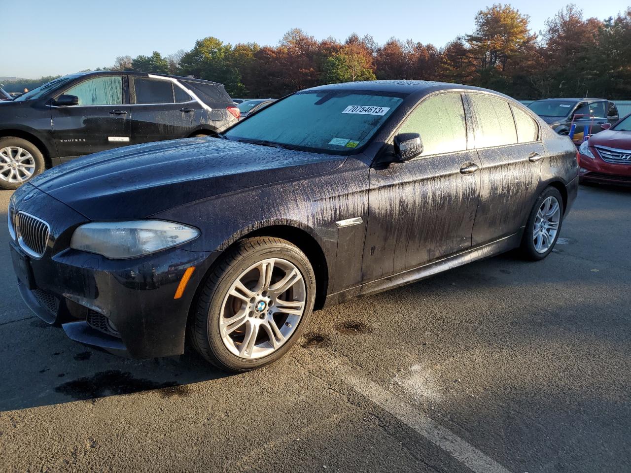 Bmw 528 xi (2013)