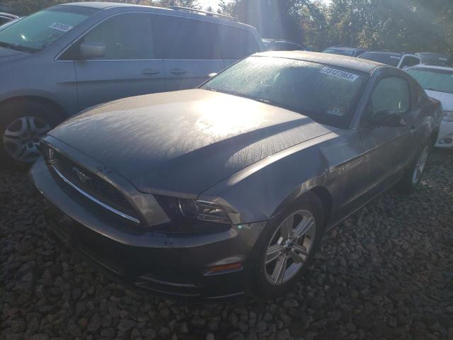 Ford All models (2014)