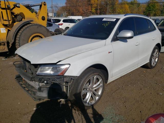 Audi Sq5 (2014)