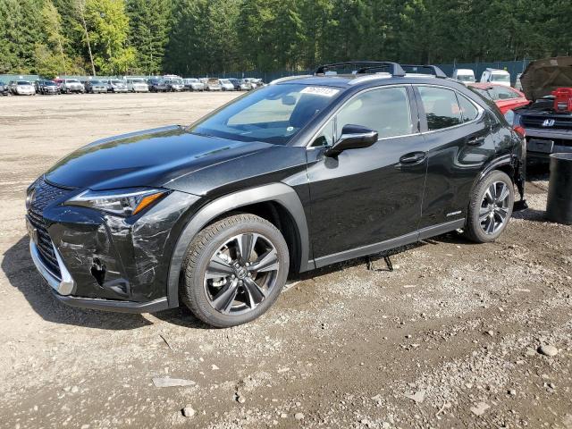 Lexus Ux 250h (2020)