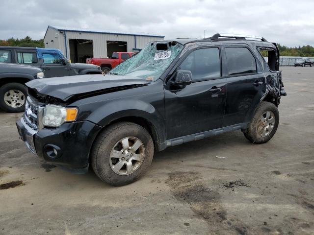Ford Escape (2011)