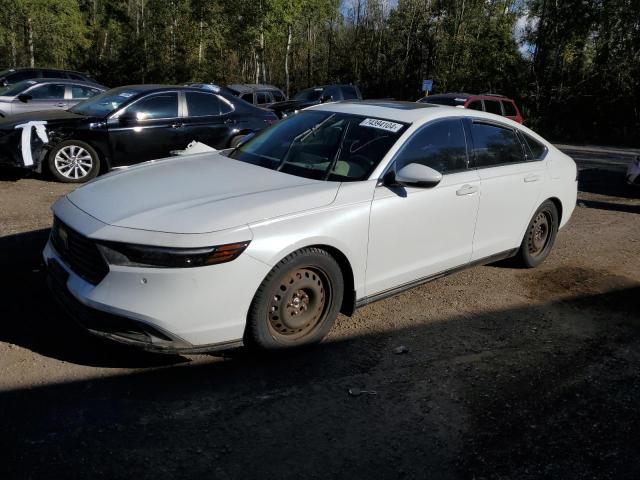 Honda Accord tou (2024)