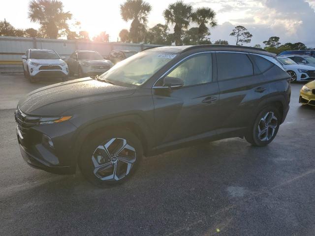 Hyundai Tucson lim (2024)