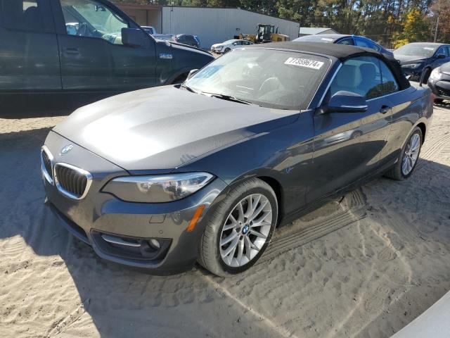 Bmw 228 xi sul (2016)