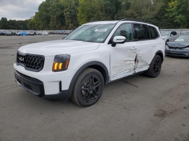 Kia Telluride (2024)