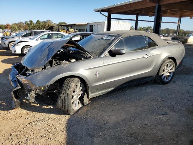 Ford All models (2010)