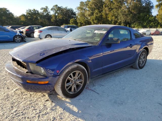Ford All models (2005)