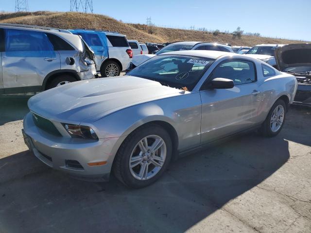 Ford All models (2010)