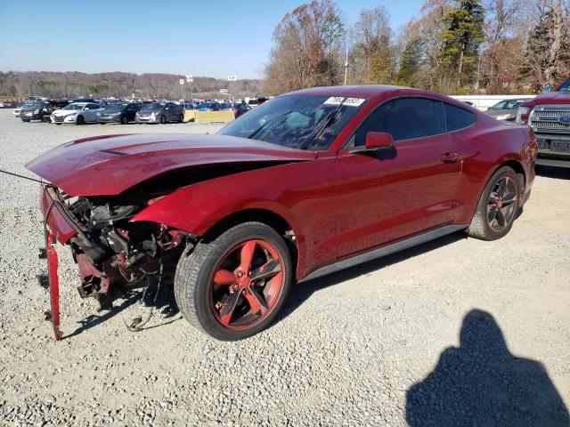 Ford All models (2019)