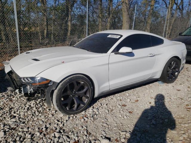 Ford All models (2018)