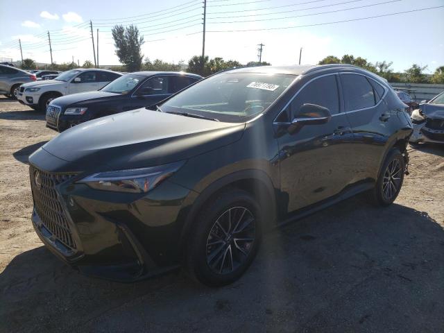 Lexus Nx 250 pre (2024)