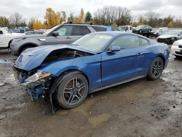 Ford All models (2022)