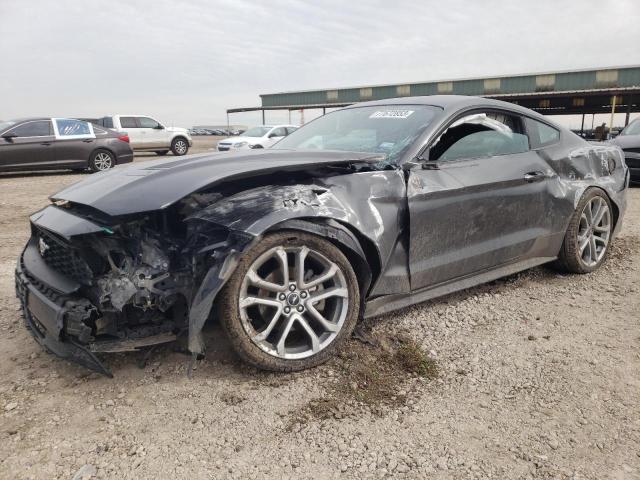 Ford All models (2019)