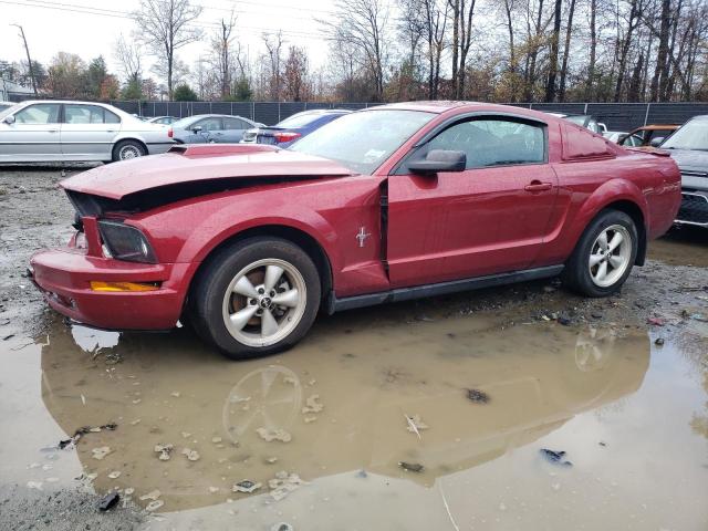 Ford All models (2007)