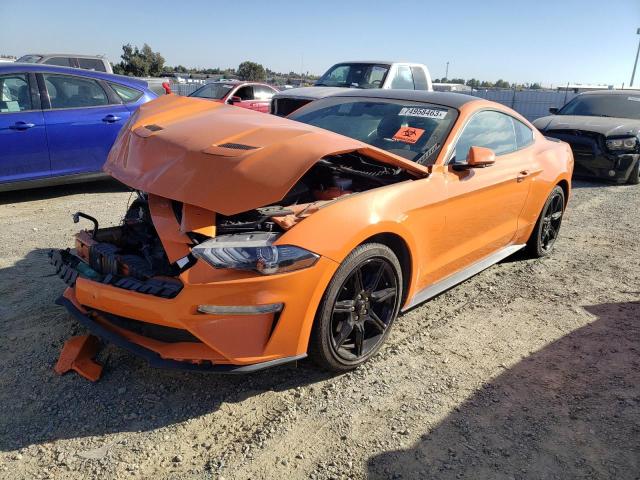 Ford All models (2020)