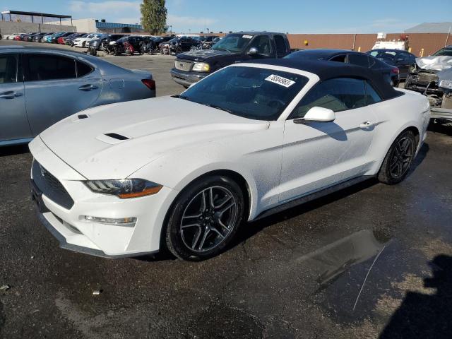 Ford All models (2021)