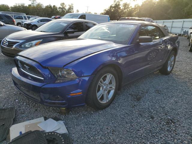 Ford All models (2013)