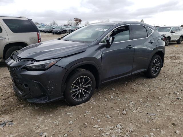 Lexus Nx 350 pre (2024)