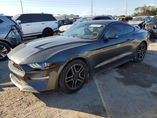 Ford All models (2019)