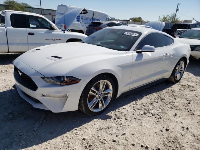 Ford All models (2021)