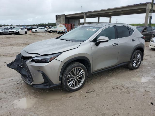 Lexus Nx 350 (2022)