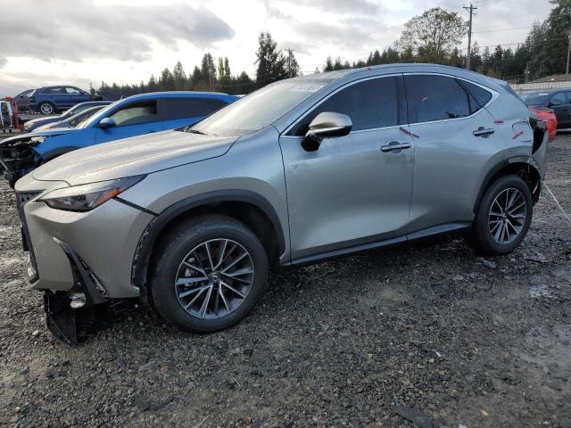 Lexus Nx 350 pre (2024)