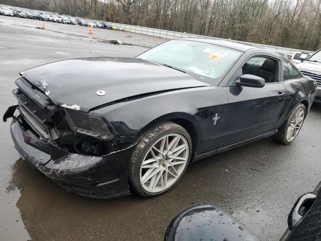 Ford All models (2014)