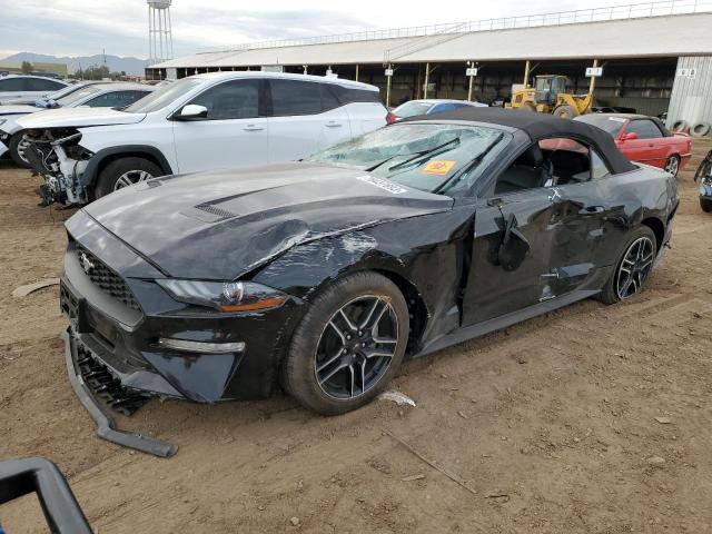 Ford All models (2023)