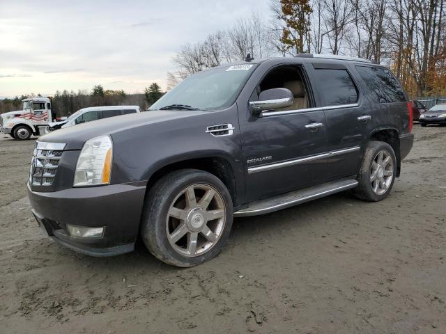 Cadillac Escalade (2010)