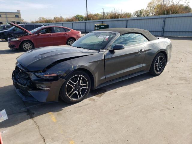 Ford All models (2019)