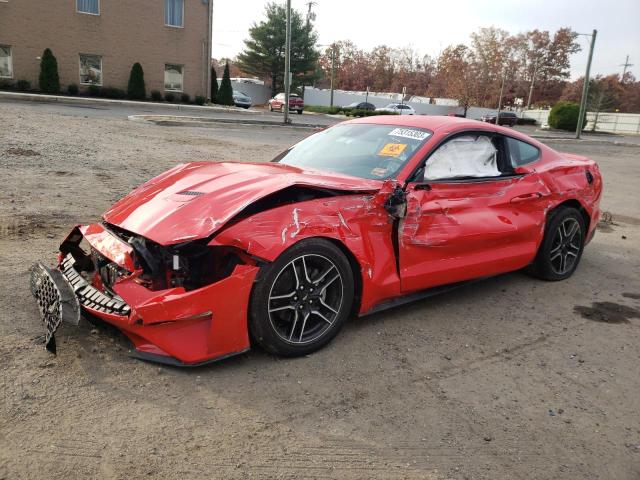 Ford All models (2023)