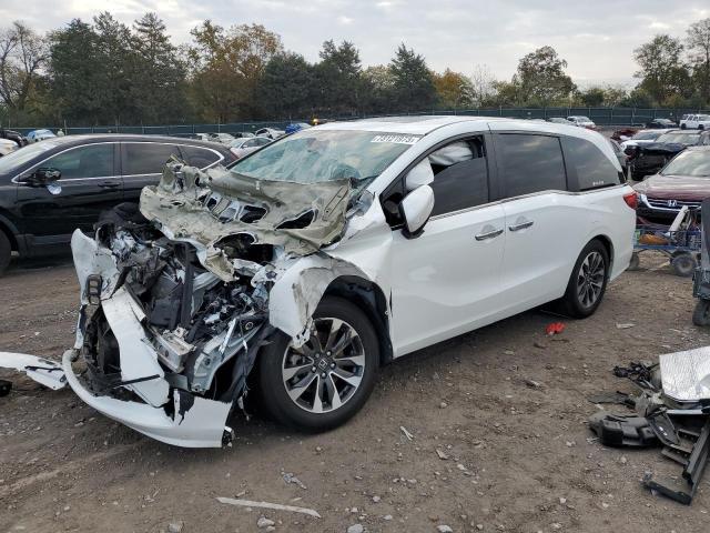 Honda All models (2022)