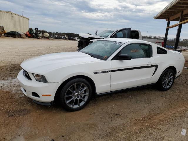 Ford All models (2012)