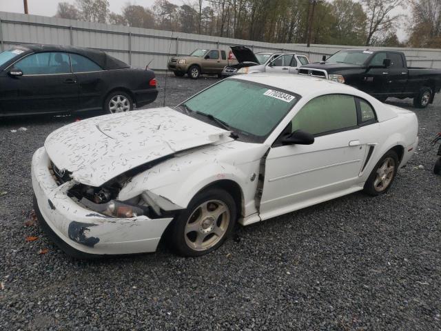 Ford All models (2004)