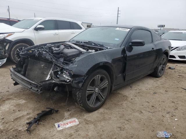 Ford All models (2013)