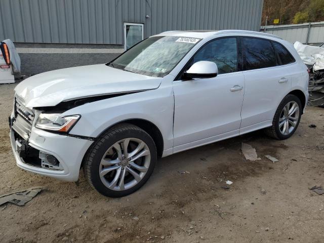 Audi Sq5 (2016)