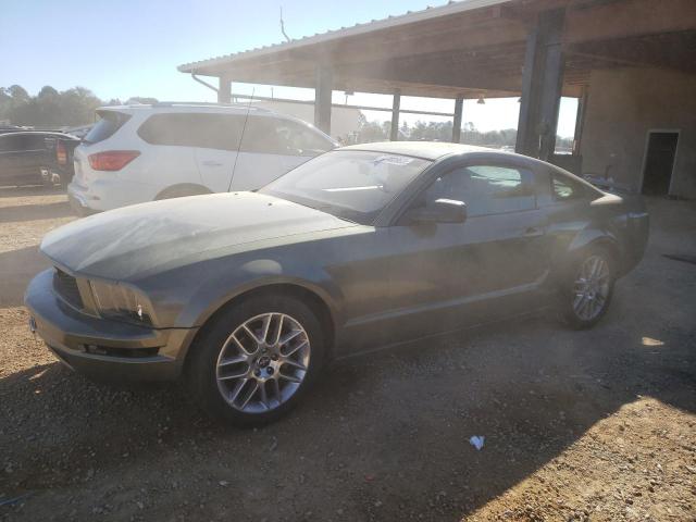 Ford All models (2006)