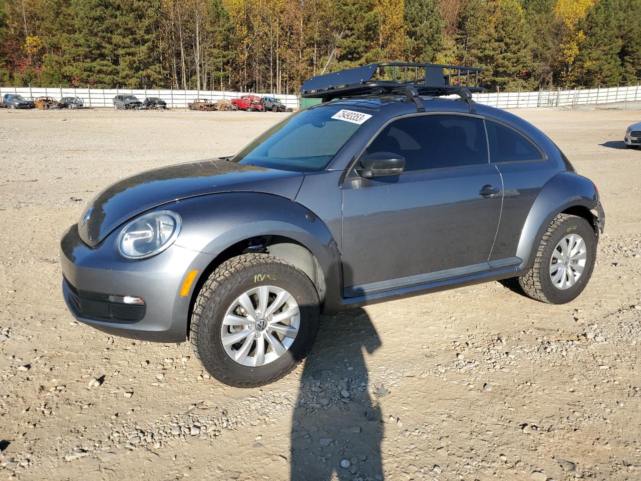 Volkswagen Beetle (2014)