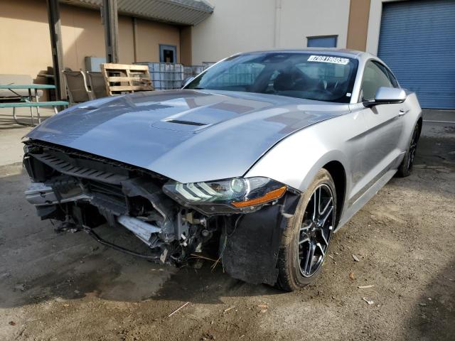 Ford All models (2023)